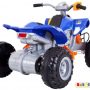 Электроквадроцикл Wingo QUAD DRAGON (синий)