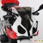 Электромотоцикл Wingo BMW S1000RR (красный)